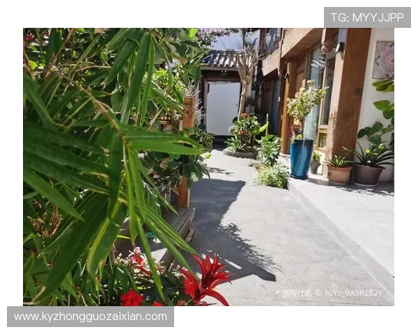 探索开云官方手机版的独特优势，提升购物效率的秘密